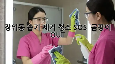 장위동 습기 제거 청소 SOS 🚨 곰팡이 OUT!