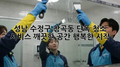 성남 수정구 창곡동 단독 청소 서비스: 깨끗한 공간, 행복한 시작