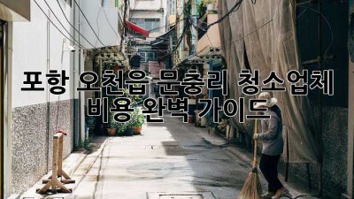 포항 오천읍 문충리 청소업체 비용 완벽 가이드